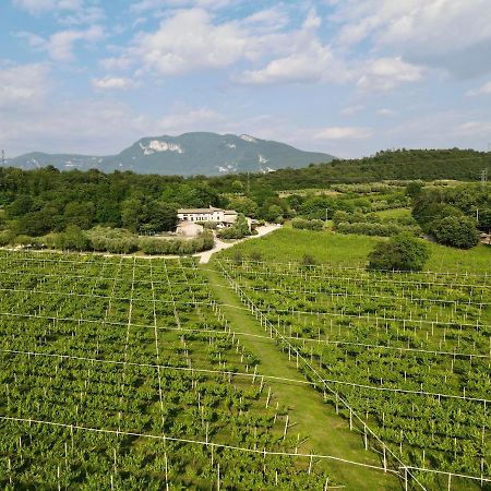 Serene Holiday And Wine Farm Affi Buitenkant foto
