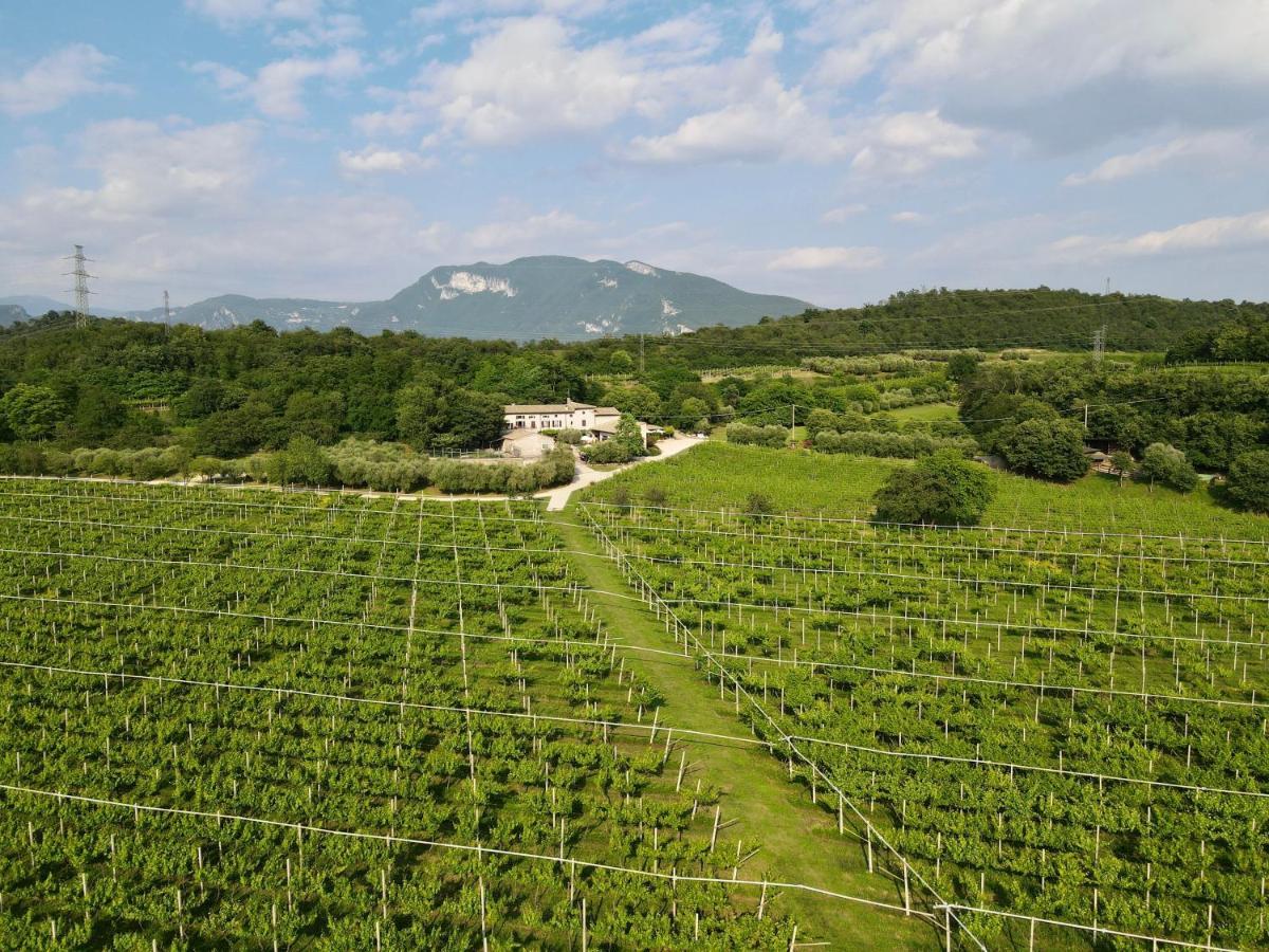 Serene Holiday And Wine Farm Affi Buitenkant foto