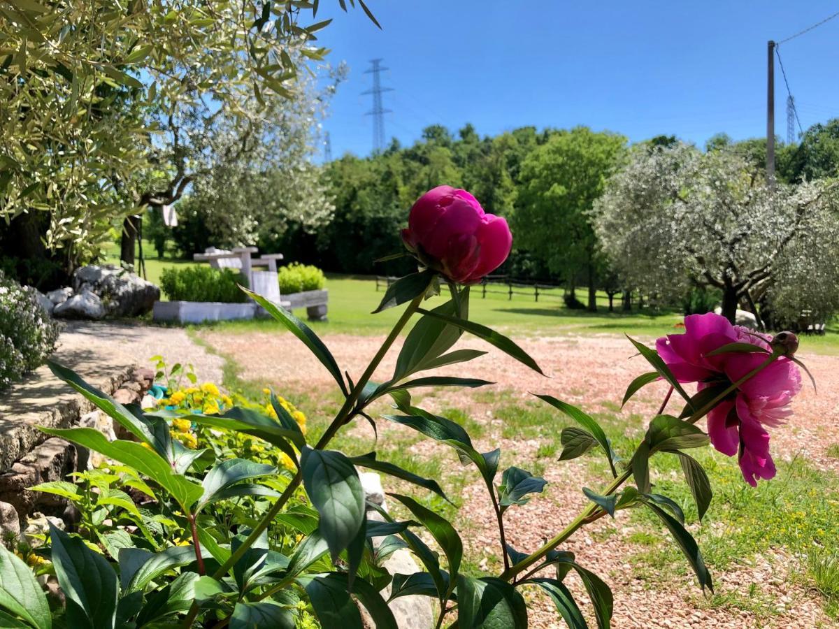 Serene Holiday And Wine Farm Affi Buitenkant foto