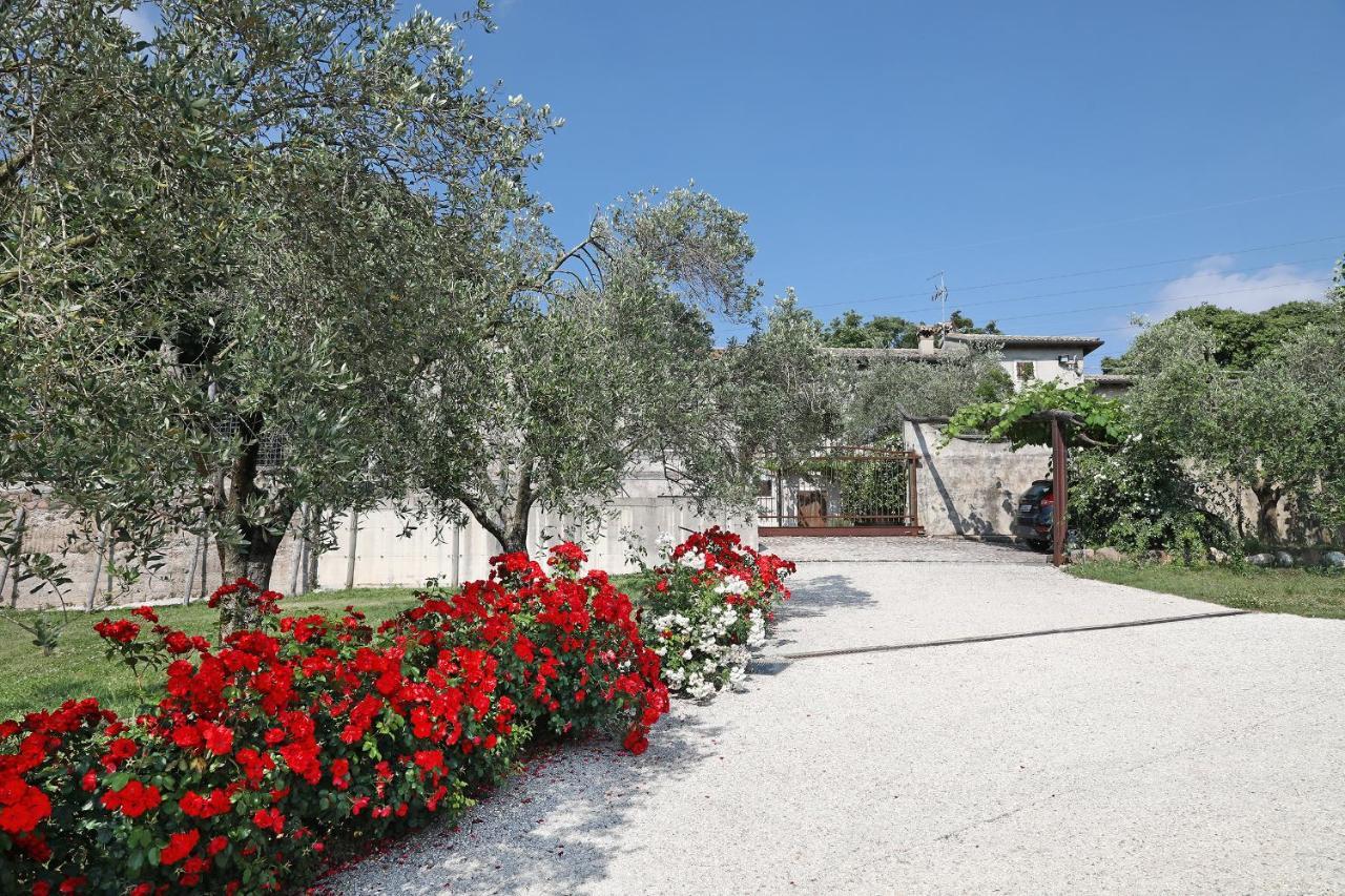 Serene Holiday And Wine Farm Affi Buitenkant foto