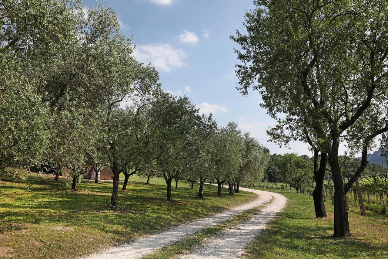 Serene Holiday And Wine Farm Affi Buitenkant foto