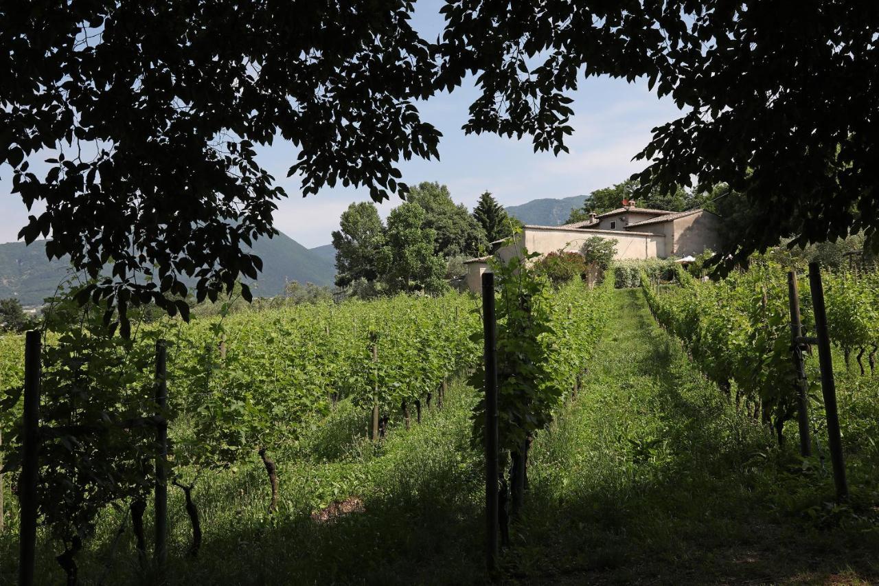 Serene Holiday And Wine Farm Affi Buitenkant foto