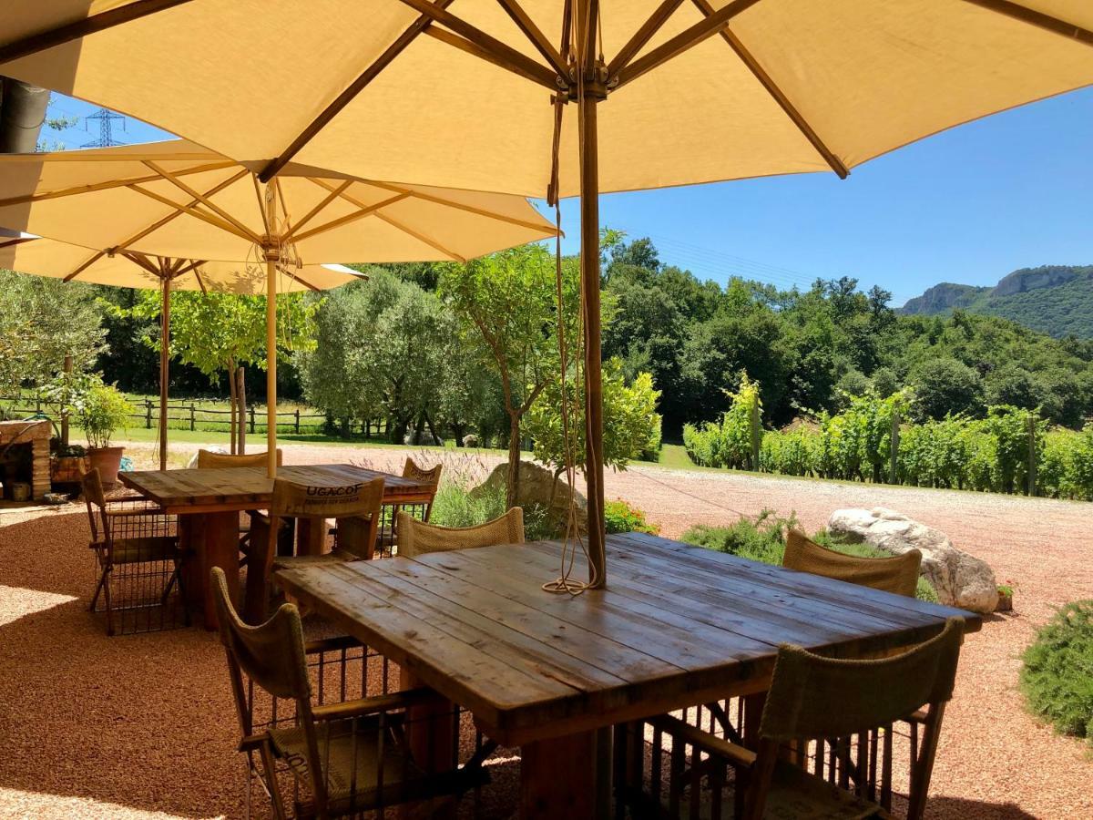Serene Holiday And Wine Farm Affi Buitenkant foto